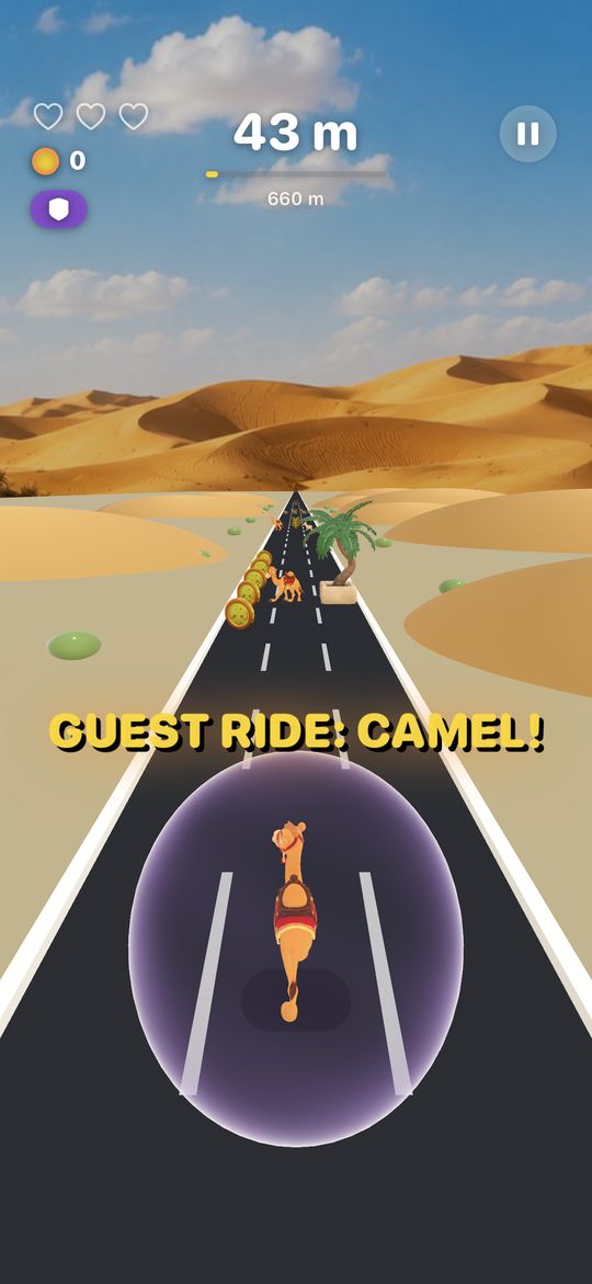 Guest ride on a camel in the Al Qudra desert, shielded